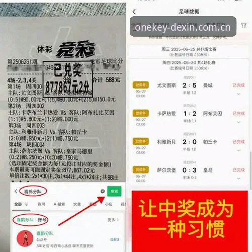 从欧洲联赛到东山再起：雷吉亚纳中锋交易的深度评测
